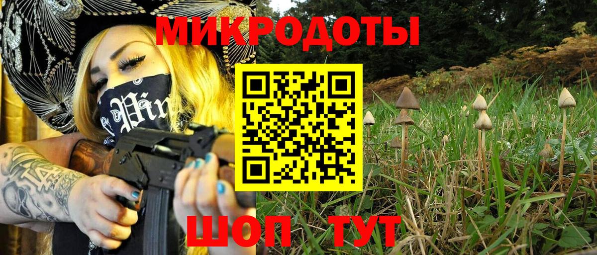 Выкса  Псилоцибиновые грибы мицелий  Вход с VPN  Галлюциногенные грибы Magic Shrooms 